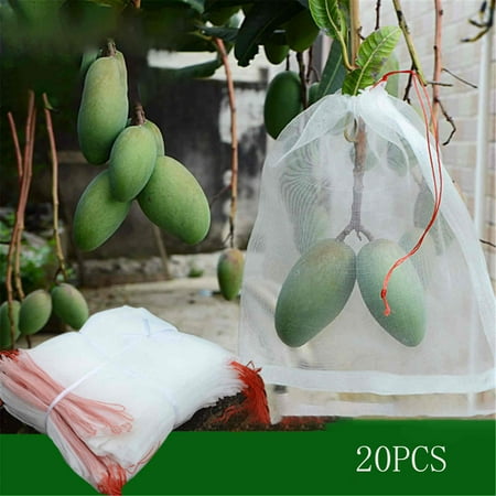 QYY Netting Bags Nylon Net Barrier Bag With Drawstring For Protecting Plant Reusable
QYY Netting Bags Nylon Net Barrier Bag With Drawstring For Protecting Plant Reusable