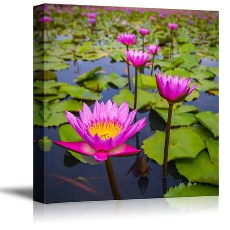 Canvas Prints Wall Art - Beautiful Scenery/Landscape Beauty Pink Lotus Flower | Modern Wall Decor/Home Decoration Stretched Gallery Canvas Wrap Giclee Print & Ready to Hang - 16" x 16"