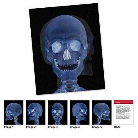 UPC 765023029291 product image for Learning Resources LER2929 New View Science Human Body Card Set | upcitemdb.com
