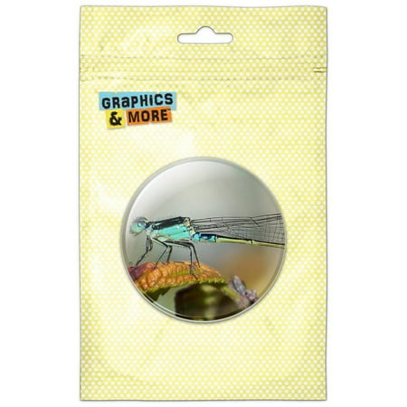 Blue Dragonfly Dragon Fly Refrigerator Button Magnet