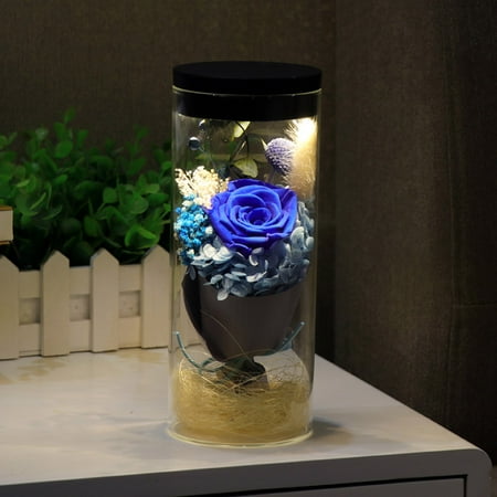Alexsix Preserved Fresh Flower Led Night Light Dry Flower Lamp Glass Cover Valentines Day Gift