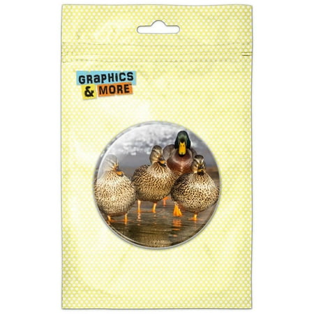 Duck Family Refrigerator Button Magnet