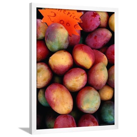 Mangoes for Sale on Roadside Stall, Reunion Framed Print Wall Art By Jean-Bernard Carillet