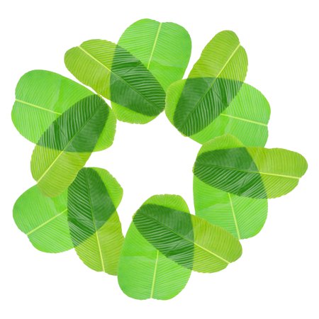HOMEMAXS 6pcs Decorative Table Mats Creative Leaf Designed Placemats Dish Mats (Green)
HOMEMAXS 6pcs Decorative Table Mats Creative Leaf Designed Placemats Dish Mats (Green)
