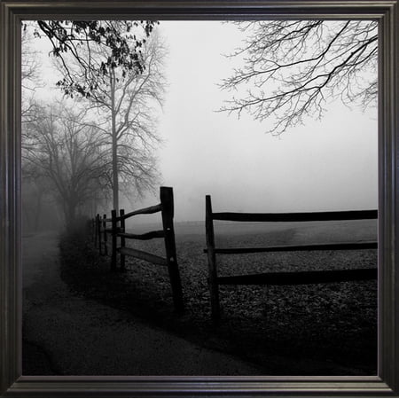 Along The Walkway-HARTRE67473 Print 16"x16" by Harold Silverman - Trees & Old Fences in a Black Grande