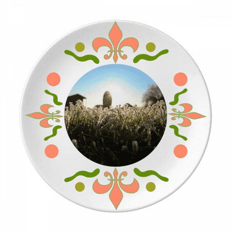 Science Nature Scenery Sunshine Green Forestry Flower Ceramics Plate Tableware Dinner Dish
Science Nature Scenery Sunshine Green Forestry Flower Ceramics Plate Tableware Dinner Dish