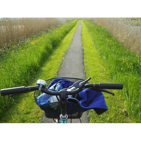 Bicycle Trail, Kinderdijk, Netherlands Print Wall Art By Keren Su