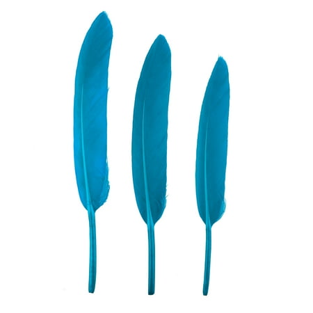 Kitchen Set Kitchen Necessities Kitchen Gadgets Best Sellers 2022 50pc Feather Small Straight Knife Colored Feather Kindergarten DIY Craft B
Kitchen Set Kitchen Necessities Kitchen Gadgets Best Sellers 2022 50pc Feather Small Straight Knife Colored Feather Kindergarten DIY Craft B