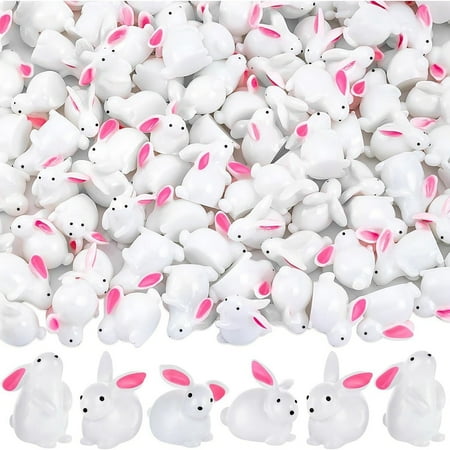 Gifts for Coworkers Mini Resin Rabbit Miniature Rabbit Statue Easter Decoration Miniature Garden Decoration Po Book Shelf Living Room Bedroom Ornament
Gifts for Coworkers Mini Resin Rabbit Miniature Rabbit Statue Easter Decoration Miniature Garden Decoration Po Book Shelf Living Room Bedroom Ornament
