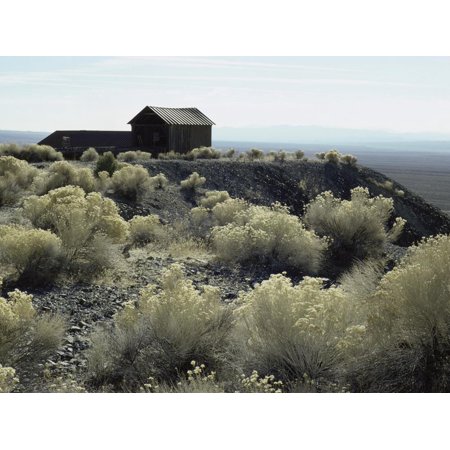 Berlin Ghost Town, Nevada, USA Print Wall Art
