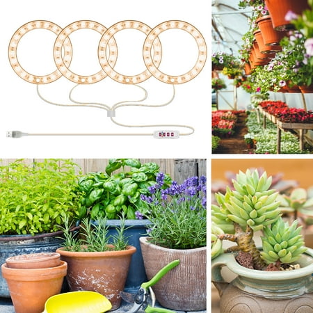 Baiwo LED Grow Lamp Angel Ring Three Spectrum Optional 1 to 4 Indoor Vegetable Succulents Plant Growing Light for Home
Baiwo LED Grow Lamp Angel Ring Three Spectrum Optional 1 to 4 Indoor Vegetable Succulents Plant Growing Light for Home