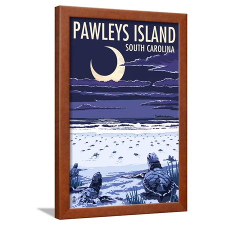 Pawleys Island, South Carolina - Baby Sea Turtles Framed Print Wall Art By Lantern Press