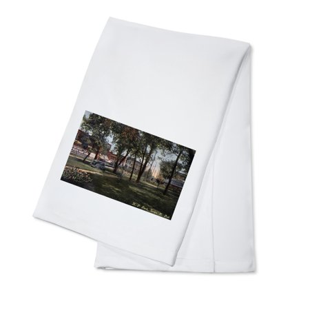 Fargo, North Dakota - N. P. Park View (100% Cotton Kitchen Towel)