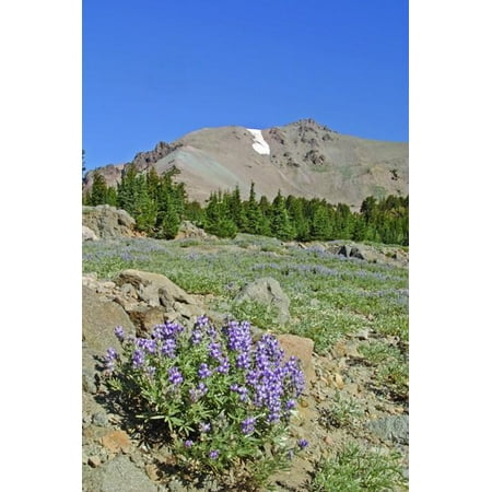 Hogan Mountain I Glossy Poster