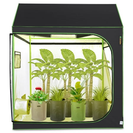 SIXWIN Grow tent