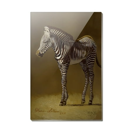 Baby Zebra Young Foal Rectangle Acrylic Fridge Refrigerator Magnet