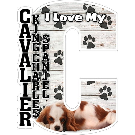 I Love My Cavalier King Charles Spaniel Fridge Magnet