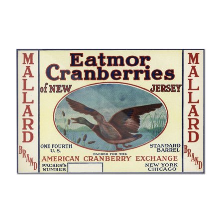 Mallard Eatmor Cranberries Brand Label (24x16 Acrylic Wall Art Gallery Quality)