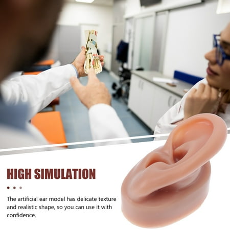 1pc Silicone Ear Model Reusable Simulation Human Ear Model Ear Piercing Model