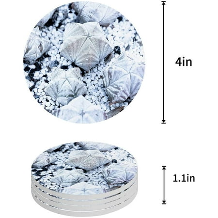 ZHANZZK Summer White Succulent Plants Set of 6 Round Coaster for Drinks Absorbent Ceramic Stone Coasters Cup Mat with Cork Base for Home Kitchen Room Coffee Table Bar Decor
ZHANZZK Summer White Succulent Plants Set of 6 Round Coaster for Drinks Absorbent Ceramic Stone Coasters Cup Mat with Cork Base for Home Kitchen Room Coffee Table Bar Decor