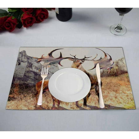 PKQWTM Family fairy reindeer rocks mountains Kitchen Dining Table Mats Placemats Size 12x18 Inches Set of 2 Pieces
PKQWTM Family fairy reindeer rocks mountains Kitchen Dining Table Mats Placemats Size 12x18 Inches Set of 2 Pieces