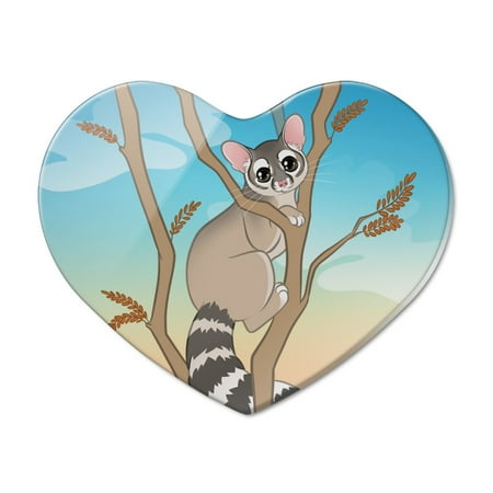 Ring-tailed Cat Heart Acrylic Fridge Refrigerator Magnet