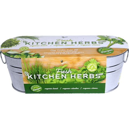 Buzzy Seeds Basil, Cilantro, Chive Organic Herb Garden Grow Kit Indoor Windowsill Planter