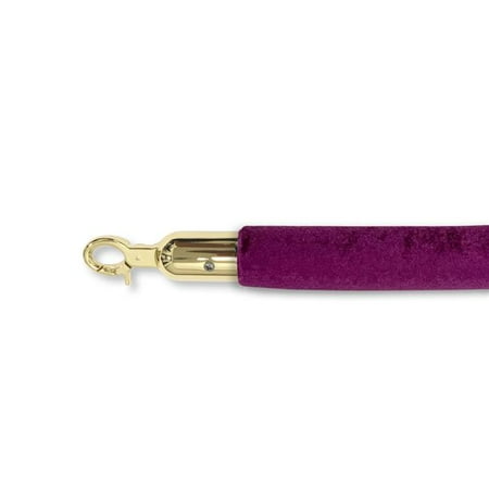 VIP Crowd Control 1643 72 in. Velour Closable Hooks Purple & Gold