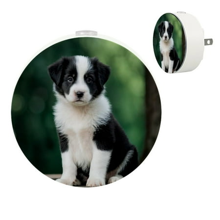 YZUOUZY Lamp for Bedroom Bedside Lamp Bedside Lamps Set of 2 Border Collie Puppy Dog Animal
YZUOUZY Lamp for Bedroom Bedside Lamp Bedside Lamps Set of 2 Border Collie Puppy Dog Animal