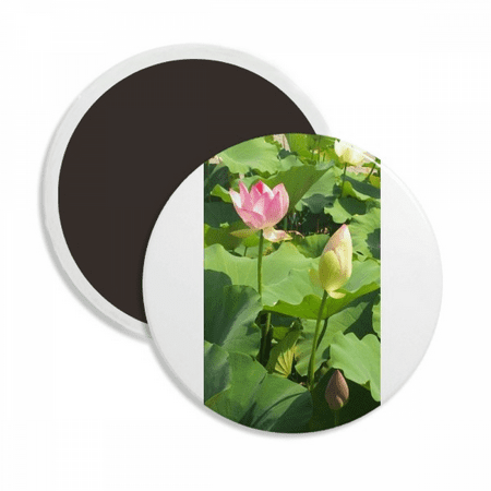 Lotus Bud Summer Art Deco Fashion Round Ceracs Fridge Magnet Keepsake Decoration