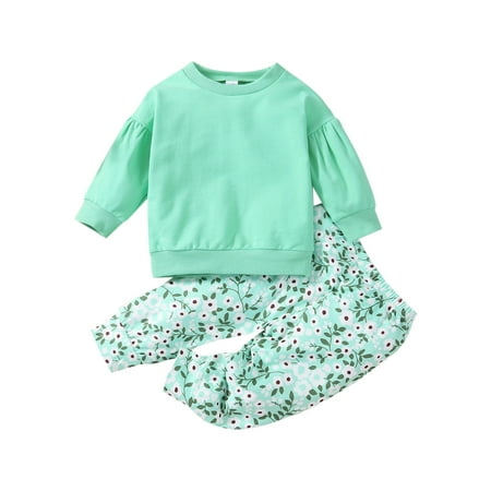 Baby Girl s 2pcs Outfits Long Puff Sleeve Solid T-shirt Top And Floral Long Pant Clothes Set
Baby Girl s 2pcs Outfits Long Puff Sleeve Solid T-shirt Top And Floral Long Pant Clothes Set