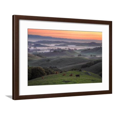 Misty and Foggy Hills Just Before Sunrise, Petaluma, California Framed Print Wall Art By Vincent James