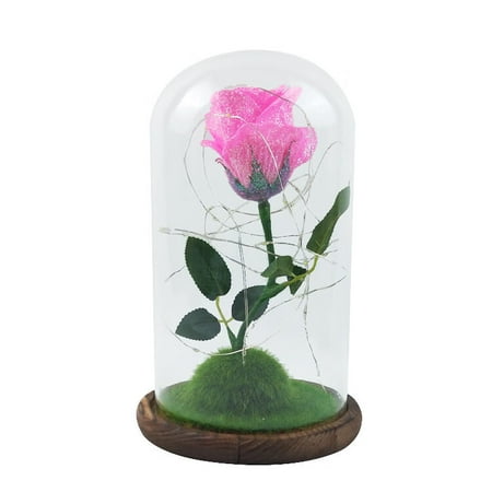 Mortilo funny Office supplies Home Kitchen Romantic Immortal Flower Micro Landscape Rose Simulation Glass Shade Led Llight class Hot Pink
Mortilo funny Office supplies Home Kitchen Romantic Immortal Flower Micro Landscape Rose Simulation Glass Shade Led Llight class Hot Pink