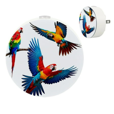 YZUOUZY Lamp for Bedroom LED Lamp Small Bedside Lamps Set of 2 Colorful Parrots Bird Animal
YZUOUZY Lamp for Bedroom LED Lamp Small Bedside Lamps Set of 2 Colorful Parrots Bird Animal