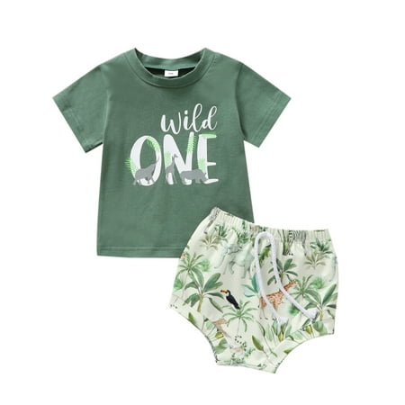 Newborn Baby Boys Girls Pants 2pcs Suit Short Sleeve Green Tops T shirt Shorts Outfits Set Clothes Green 3-6 Months
Newborn Baby Boys Girls Pants 2pcs Suit Short Sleeve Green Tops T shirt Shorts Outfits Set Clothes Green 3-6 Months