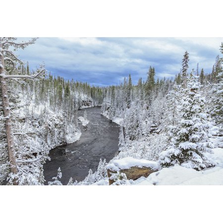 Yellowstone Winter In Fall-GALONL125220 Print 11.25"x17" by Galloimages Online in a Un (Print Only)