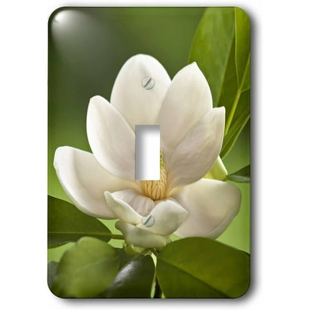 Tree Flower Blossomm Na01 Aje0188m Adam Jones Single Toggle Switch