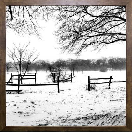 Field Of Snow And Winter-HARTRE74724 Print 20"x20" by Harold Silverman - Trees & Old Fences in a Cafe Mocha