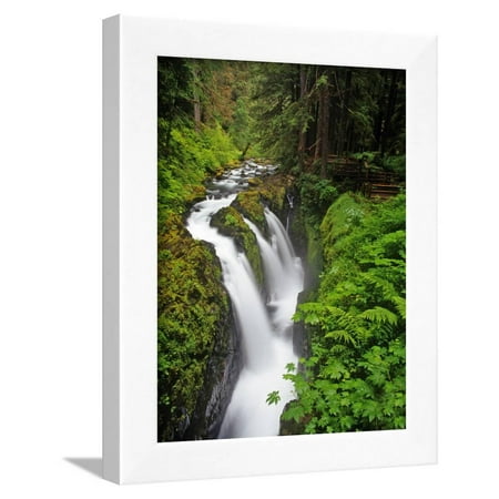 Sol Duc Falls in Olympic National Park, Washington, USA Framed Print Wall Art By Chuck Haney