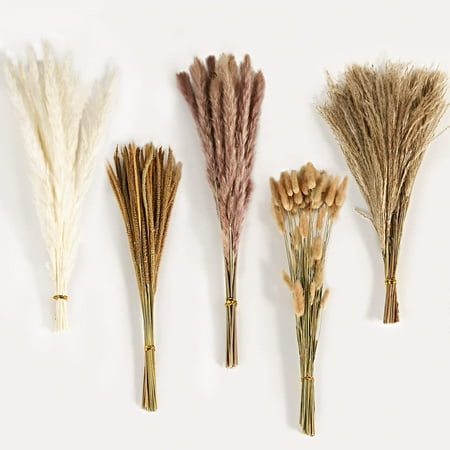 Dried Pampas Grass Decor 120pcs Boho Home Wedding Party Decor Dried Flowers Arrangements
Dried Pampas Grass Decor 120pcs Boho Home Wedding Party Decor Dried Flowers Arrangements