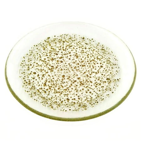 Red Pomegranate Collection 0961-1 8.5 in. Isla Salad Plate Clear & Gold