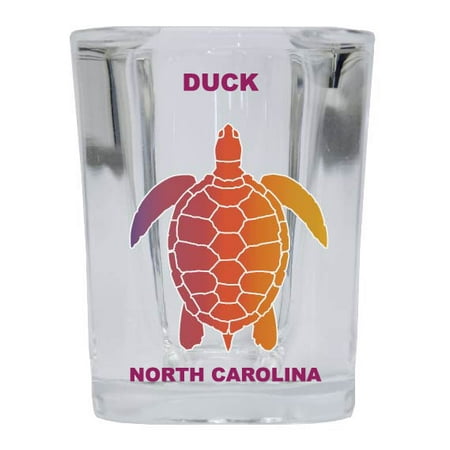 DUCK Square Shot Glass Rainbow Turtle Design