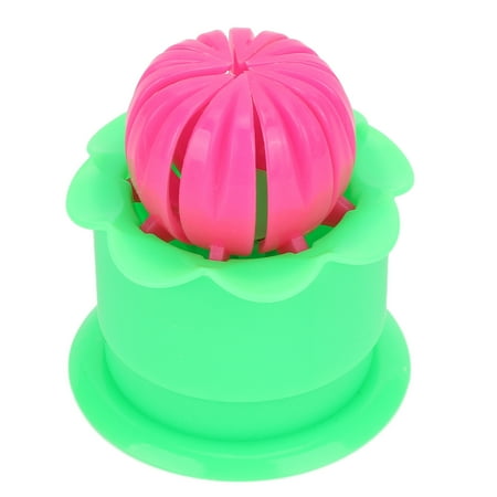 Baozi Maker Mold Steam Bun Maker Mold Professional Delicate Plastic For DIY Cooking
Baozi Maker Mold Steam Bun Maker Mold Professional Delicate Plastic For DIY Cooking