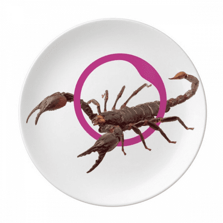 Scorpion Natural Insect Litation Plate Decorative Porcelain Salver Tableware Dinner Dish
Scorpion Natural Insect Litation Plate Decorative Porcelain Salver Tableware Dinner Dish
