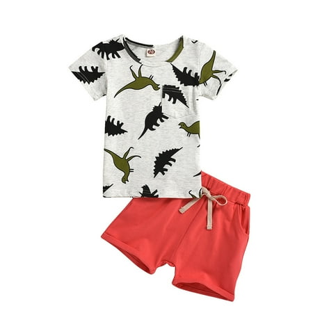 Kids Toddler Baby Girls Spring Summer Printed Dinosaur Cotton Short Sleeve Tshirt Shorts Baby Outfits Clothes
Kids Toddler Baby Girls Spring Summer Printed Dinosaur Cotton Short Sleeve Tshirt Shorts Baby Outfits Clothes