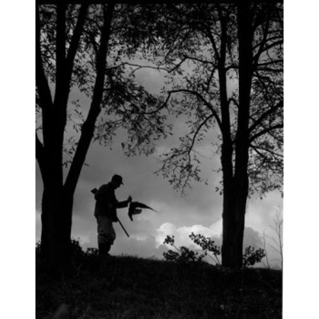 Silhouette of man with gun going for hunting Poster Print