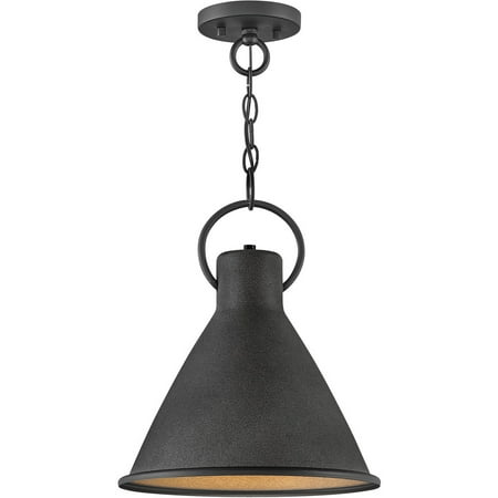 Pendants 1 Light Fixtures With Aged Zinc Finish Steel Material Medium Bulb 12 100 Watts
Pendants 1 Light Fixtures With Aged Zinc Finish Steel Material Medium Bulb 12 100 Watts