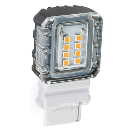 Accessory 1.75 inch 1.5W 3000K S8 Side Mount Led 120 Degree Replacement Bulb Bailey Street Home 147-Bel-4239957
Accessory 1.75 inch 1.5W 3000K S8 Side Mount Led 120 Degree Replacement Bulb Bailey Street Home 147-Bel-4239957