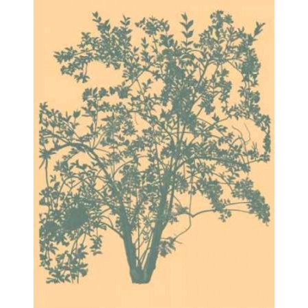 All American IV Poster Print by Susan Davies