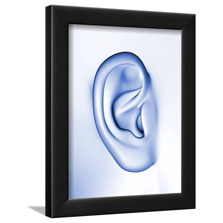 Human Ear Framed Print Wall Art By PASIEKA